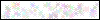 Auth Image