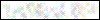Auth Image
